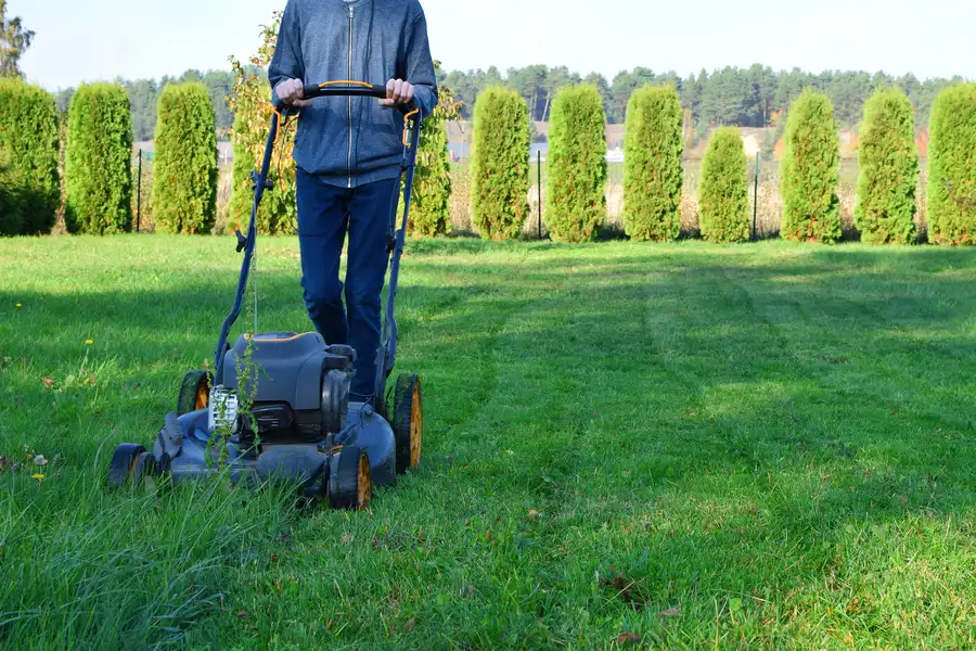 Tips For Choosing The Right Lawn Mowing Service For Your Yard Mascotte, FL Tips For Choosing The Right Lawn Mowing Service For Your Yard Mascotte, FL