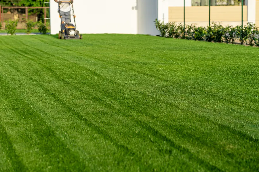 Tips For Choosing The Right Lawn Mowing Service For Your Yard in Mascotte, FL Tips For Choosing The Right Lawn Mowing Service For Your Yard in Mascotte, FL