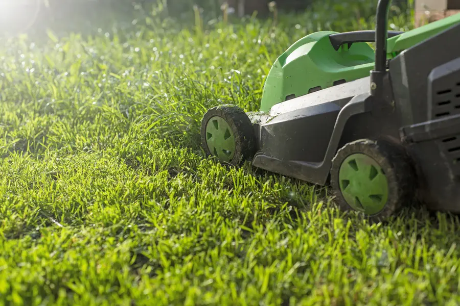 Why Lawn Mowing Is Essential For Maintaining Curb Appeal in Mascotte, FL Why Lawn Mowing Is Essential For Maintaining Curb Appeal in Mascotte, FL